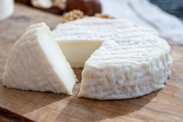 Cheese collection, French Perail les Buissieres cheese made from sheep milk from Aveyron, France close up