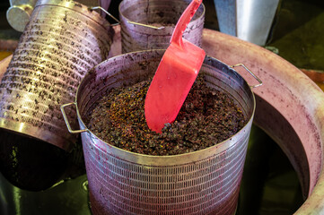Harvesting works, fermentation of pressed grapes juice in steel vats, Cabernet Sauvignon grape...