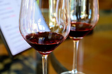 Tasting of red dry wine in Chateauneuf-du-Pape wine making village in France with green vineyards on large pebbles galets and sandstone clay soil