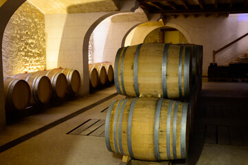 Wine tour in cellars of domain in Pouilly-Fume appellation, white wine from vineyards of...