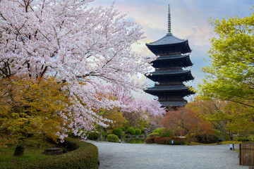 Kyoto, Japan - March 31 2023: Toji Temple founded at the beginning of the Heian Period after the...