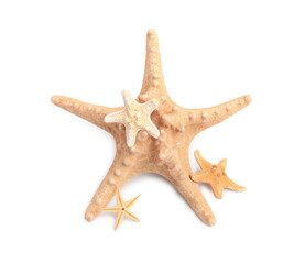 Many beautiful sea stars (starfishes) isolated on white