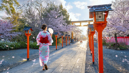 Young Japanese woman in traditional Yukata dress strolls at  Hirano-jinja Shrine during full bloom...