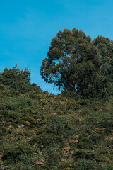 Nemocón rural landscape with blue sky and mountains. Colombia.