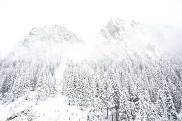 A majestic mountain with tall, snow-covered trees standing amidst a blanket of snow