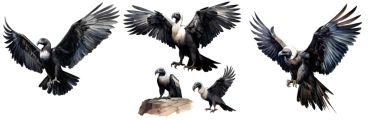 Papier Peint photo Boho animaux Condor bird watercolor illustration clipart. Generative AI