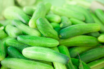 Fresh cucumbers on the market stall