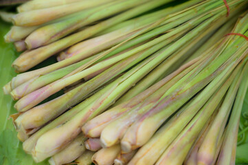 Fresh lemon grass on banana leaf