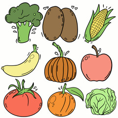 fruit and vegetable illustration hand draw Collection set