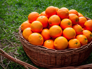 Basket full of oranges