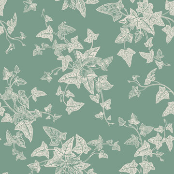 Seamless pattern with ivy
