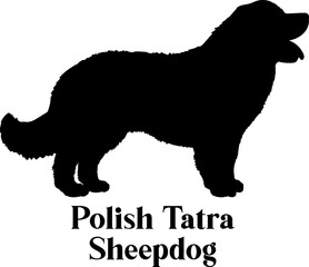 Polish Tatra Sheepdog Dog silhouette dog breeds logo dog monogram logo dog face vector
SVG PNG EPS