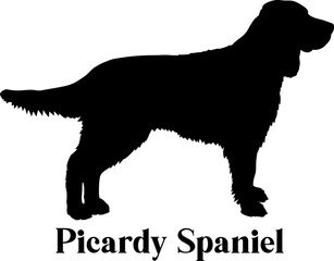 Picardy Spaniel. Dog silhouette dog breeds logo dog monogram logo dog face vector
SVG PNG EPS
