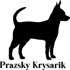 Prazsky Krysarik Dog silhouette dog breeds logo dog monogram logo dog face vector
SVG PNG EPS