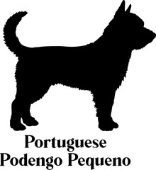 Portuguese Podengo Pequeno Dog silhouette dog breeds logo dog monogram logo dog face vector
SVG PNG EPS