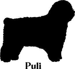 Puli Dog silhouette dog breeds logo dog monogram logo dog face vector
SVG PNG EPS