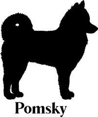 Pomsky Dog silhouette dog breeds logo dog monogram logo dog face vector
SVG PNG EPS