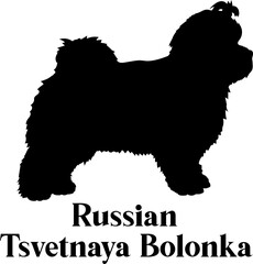 Russian Tsvetnaya Bolonka Dog silhouette dog breeds logo dog monogram logo dog face vector
SVG PNG EPS