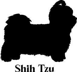Shih Tzu Dog silhouette dog breeds logo dog monogram logo dog face vector
SVG PNG EPS