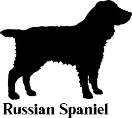 Russian Spaniel Dog silhouette dog breeds logo dog monogram logo dog face vector
SVG PNG EPS