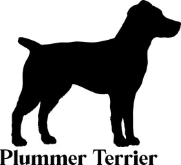 Plummer Terrier Dog silhouette dog breeds logo dog monogram logo dog face vector
SVG PNG EPS