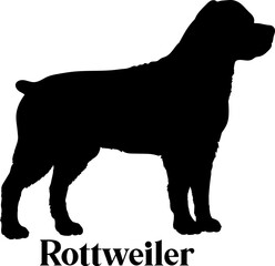 Rottweiler Dog silhouette dog breeds logo dog monogram logo dog face vector
SVG PNG EPS