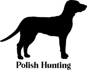 Polish Hunting. Dog silhouette dog breeds logo dog monogram logo dog face vector
SVG PNG EPS