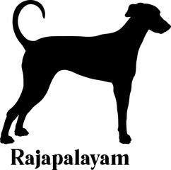 Rajapalayam Dog silhouette dog breeds logo dog monogram logo dog face vector
SVG PNG EPS