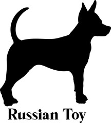 Russian Toy. Dog silhouette dog breeds logo dog monogram logo dog face vector
SVG PNG EPS