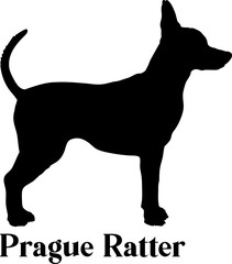 Prague Ratter. Dog silhouette dog breeds logo dog monogram logo dog face vector
SVG PNG EPS