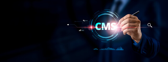 Concept of CMS - Content Management System. Website management software, seo optimization, administration, user rights settings, site configuration and cms statistics. Blogging. Freelance.