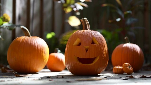 Halloween. Happy Jack o lantern face.
Pumpkin on Halloween party. Smiling Jack-o'-lantern. Decoration Idea for Home, house on halloween. Autumn or fall season. Wooden fence on background