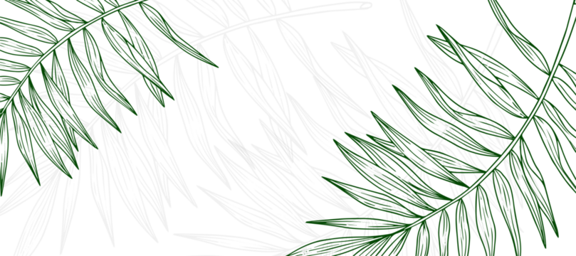 Palm Leaf Outline Abstract background Wallpaper