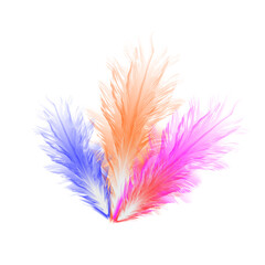 Vector realistic feather set with soft isolated feathers