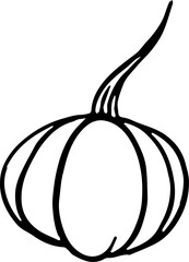 Hand drawn pumpkin  in  brush style isolated on transparent PNG background for Thanksgiving 