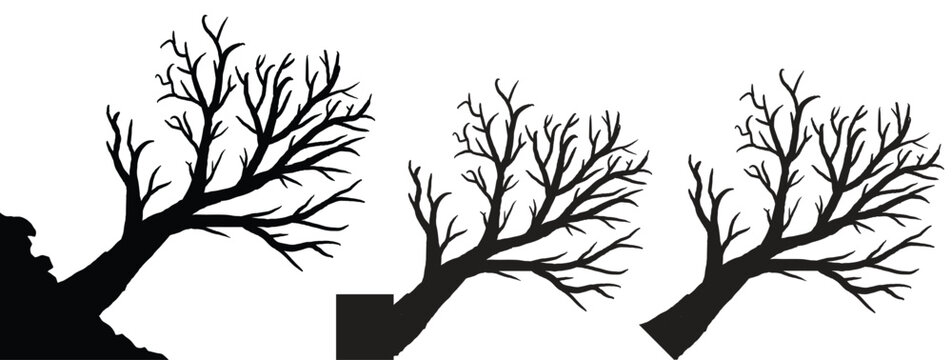 silhouette of dead tree vector illustration. silhouette of trees and branches without leaves. Bare Tree silhouette. Black Branch Tree vector. silhouette of a bare tree.