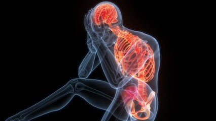 Central Organ of Human Nervous System Brain Anatomy Animation Concept