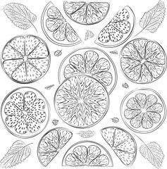 Line art illustration of lemon and lime wedges with mint leaves. 
Vector illustration of fresh citrus cuts of lemon and lime pieces flavored with mint leaves. Lemon and lime slices and mint in vector. - obrazy, fototapety, plakaty