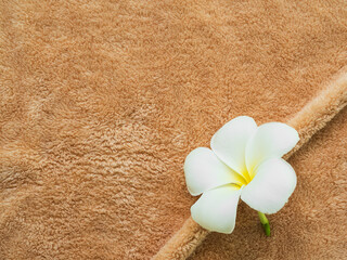 Fototapeta na wymiar Spa Beauty Relax Salon Hotel on Towel Background Backdrop Massage Rangipani Flower Aromatherapy Treatment Body in Luxury Bathroom Service Therapy Good Health Nature Herb.