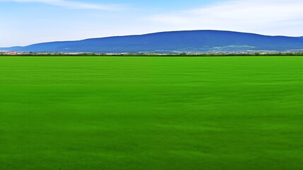 Obraz premium Landscape view of reen grass field Infront of the mountain and sky on background