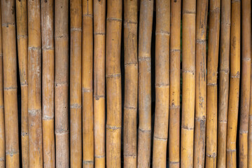 Yellow bamboo plank texture background.