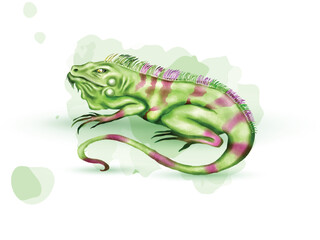 cute iguana watercolor clipart illustration