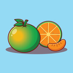 tropical orange citrun fruit cartoon vector illustration