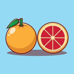 grapefruit orange citrun fruit cartoon vector illustration