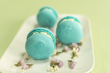 blue macaroons on a white plate with flowers. menu design. aesthetics of taste
