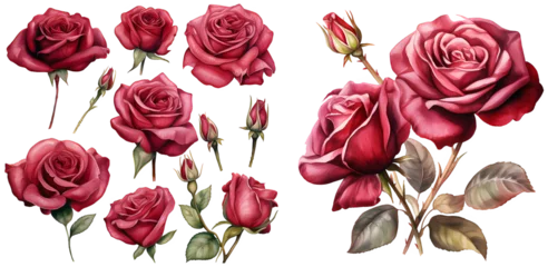 Fotobehang Burgundy rose watercolor illustration clipart. Generative AI © Dian
