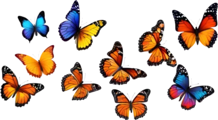 Glasschilderij Vlinders Colorful butterfly clipart for decoration. 