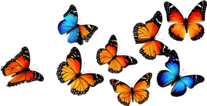 Colorful butterfly clipart for decoration. 