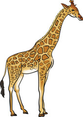 The cartoon Giraffe
