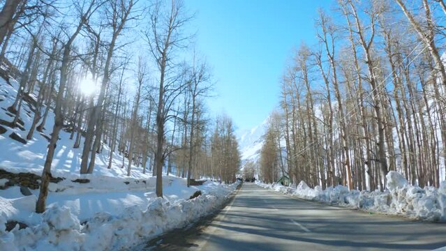 Driver's POV shot of Empty road between white snow and some dry trees with sunny day in winter season at Sissu village in Lahaul, India. Winter frosty sunny day. Road from moving vehicle.